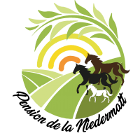 Pension de la Niedermatt